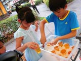 少年4年摆免费茶摊