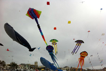 澳大利亚民众庆“风节” 邦代海滩风筝如织