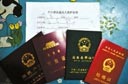 "假证妈妈"的无奈选择