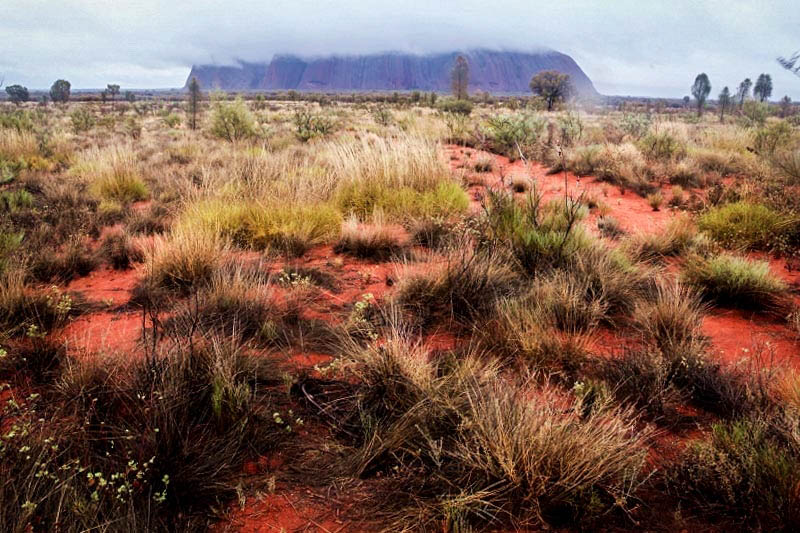 雨云笼罩的艾尔斯岩，是荒漠里难得一见的奇景。（摄影 马小龙）