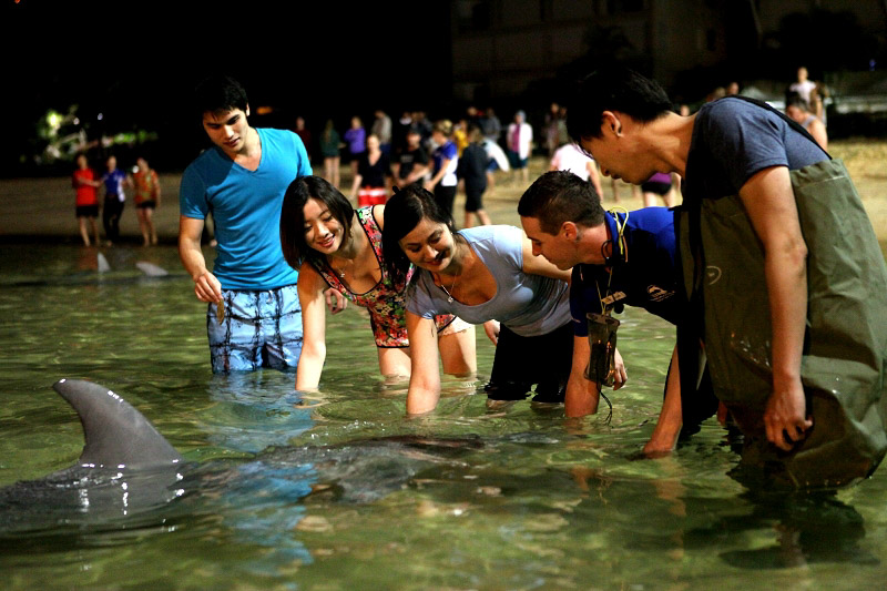 上岛消闲，亲手喂食野生海豚的经历让人感动。（摄影 马小龙）