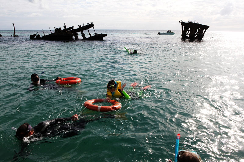 沉船浮潜时，常有海龟施施然飘过。（马小龙）