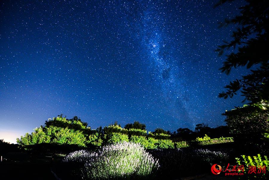 在澳大利亚维多利亚州的莫宁顿半岛，1月份的气候正是清爽温润。此时的夜晚是观星的绝佳时节。璀璨的群星装点着蓝丝绒般的天幕，绵长的银河倾泻至地平线。夜色下的农庄带给人无限遐想。（摄影 赵铎）