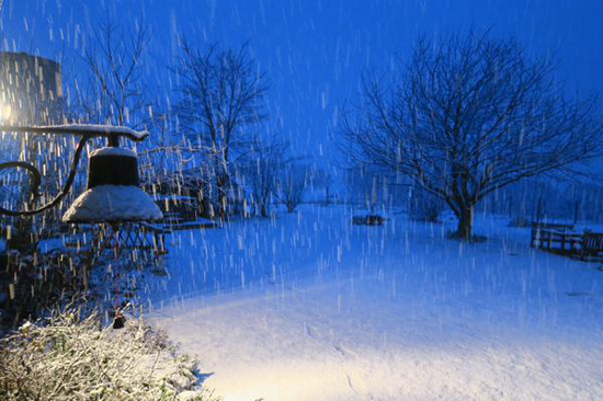 新州降雪夜景（图片来源：社交媒体twitter）