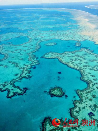 排名全球第二的大堡礁（摄影 杨玏）