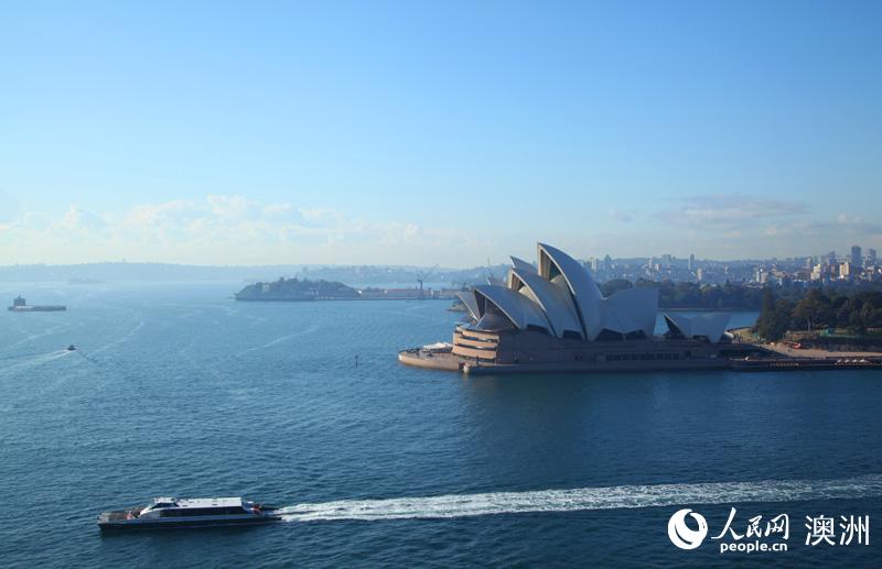 从悉尼海港大桥俯瞰歌剧院的景色（摄影 张洵）