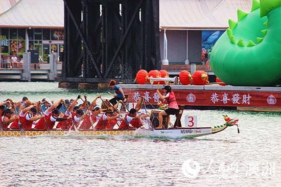 澳大利亚民众赛龙舟欢度中国农历新年（摄影 盛楚宜）