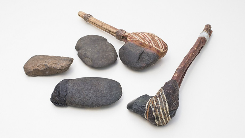 澳大利亚西澳州发现世界最古老石斧碎片距今近5万年