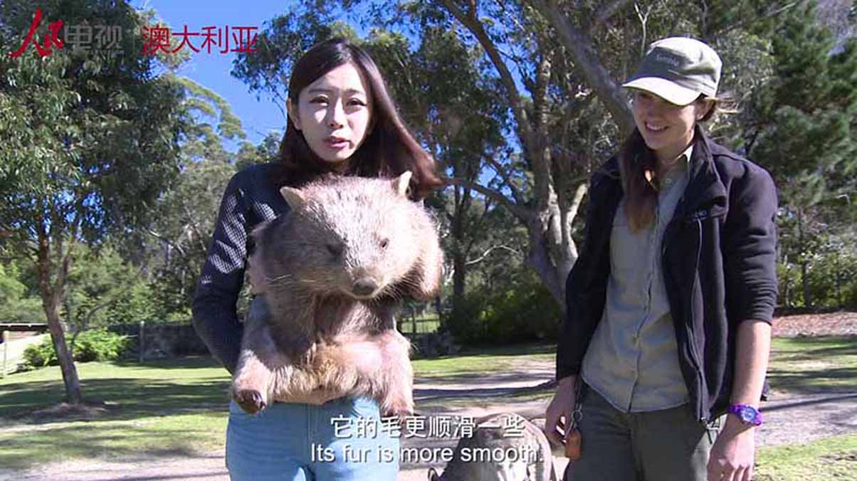 微视澳洲02：走进森比奥野生动物园