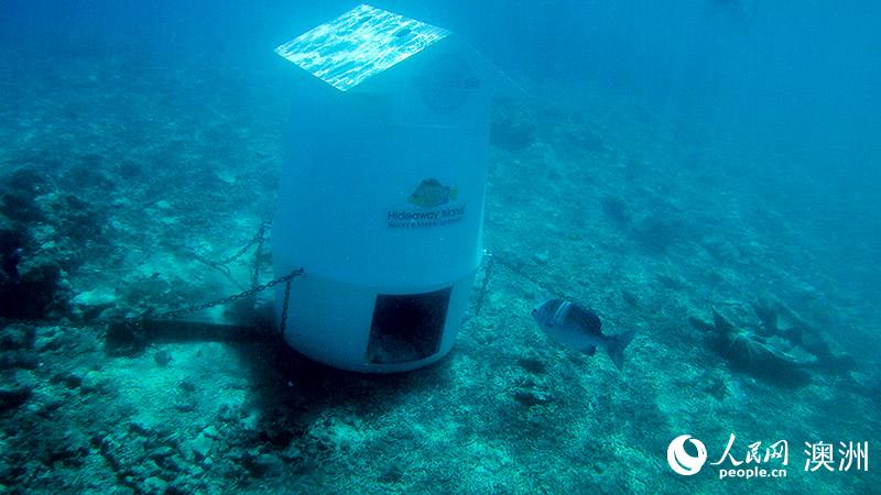 瓦努阿图著名的水下邮局，外观看起来像一个巨大的苏打罐头 （摄影 马思濛）