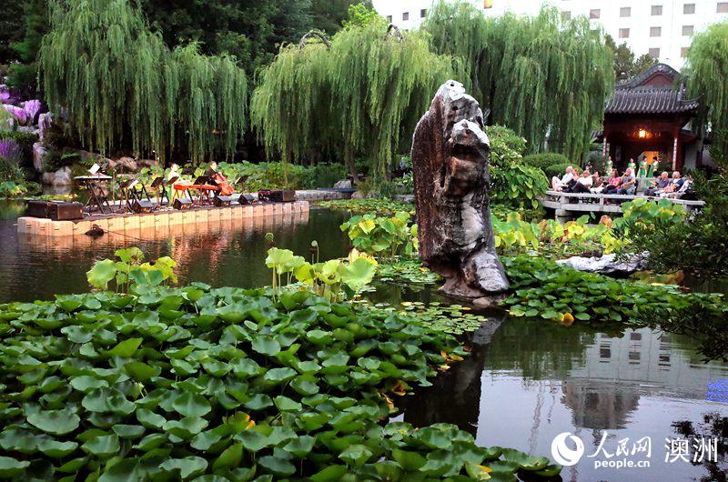 中國花園實景音樂會為悉尼民眾演繹中西音樂交融之美（攝影 盛楚宜）