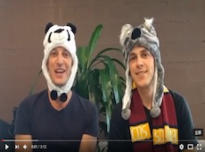Lets Talk About Koala and Panda