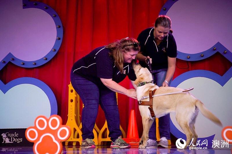 導盲犬訓練者與導盲犬互動傳授現場觀眾相關知識 （攝影 劉荻青）