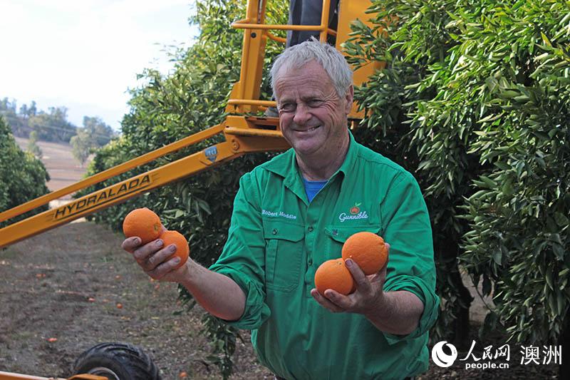 羅伯特農場靠出口橙子來減少干旱帶來的損失（攝影 陰袁揚洋）