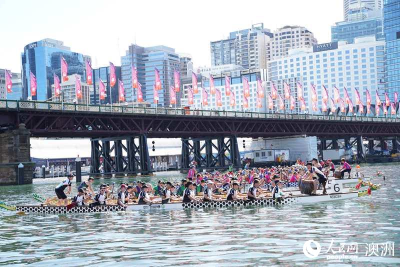 龍舟競渡在悉尼達令港舉行（攝影 李聖音）