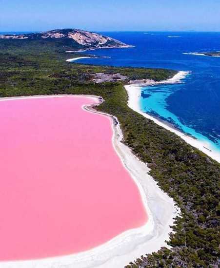 西澳洲旅游胜地粉红湖变蓝十载 科学家声称有方法恢复