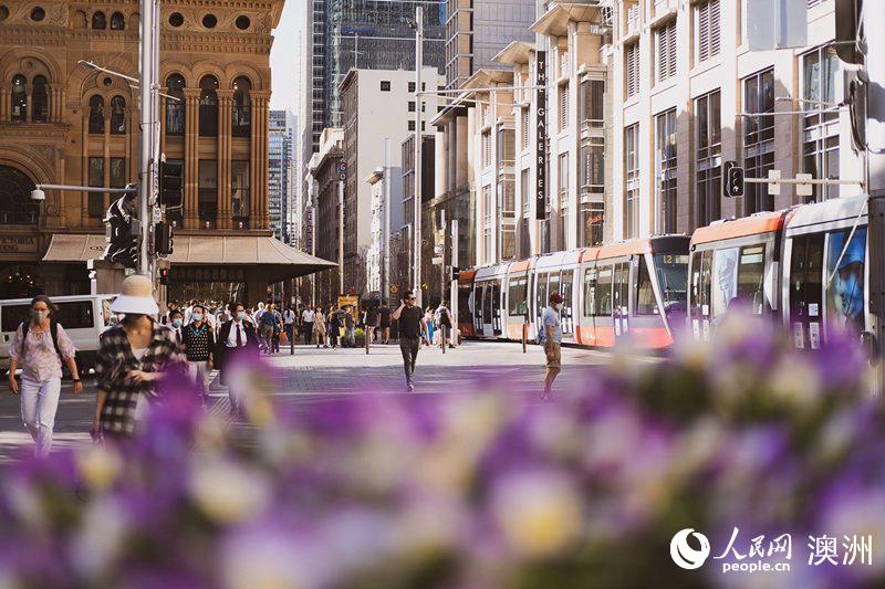 南半球迎春 澳大利亞悉尼市推出生動色彩花卉展【5】