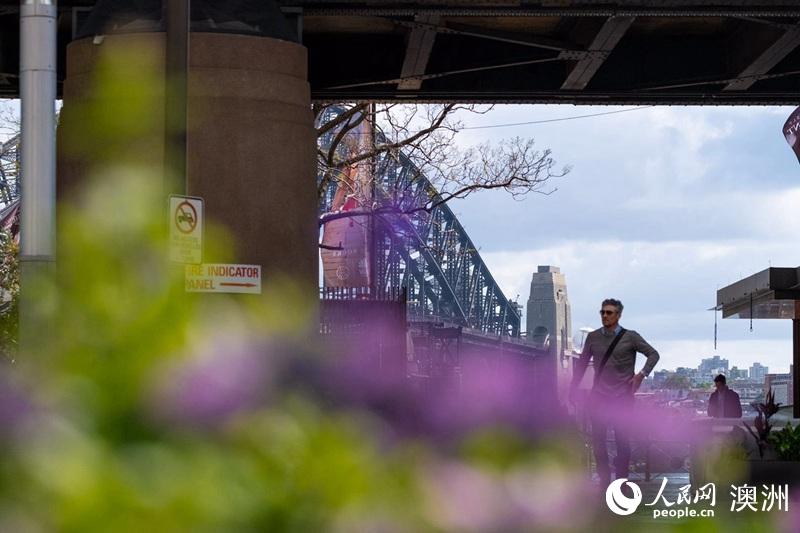 南半球迎春 澳大利亞悉尼市推出生動色彩花卉展【6】