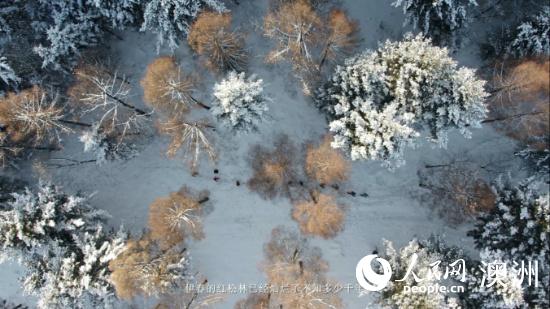 落雪之約  值得萬裡：中國北方冰雪季在新西蘭精彩上線-黑龍江