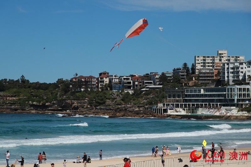 悉尼邦迪海灘舉辦風箏節（攝影 李含悅）