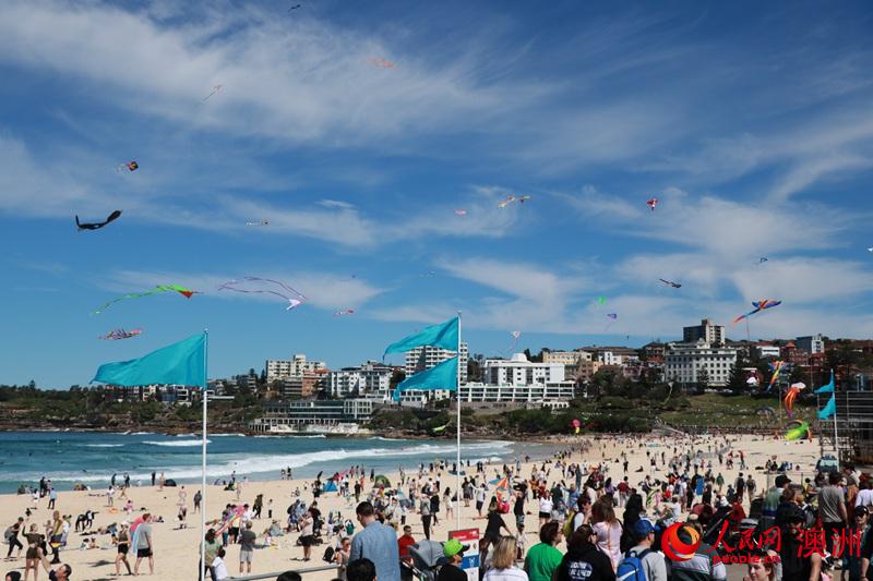 數十隻風箏在邦迪海灘上空隨風舞動（攝影 李含悅）