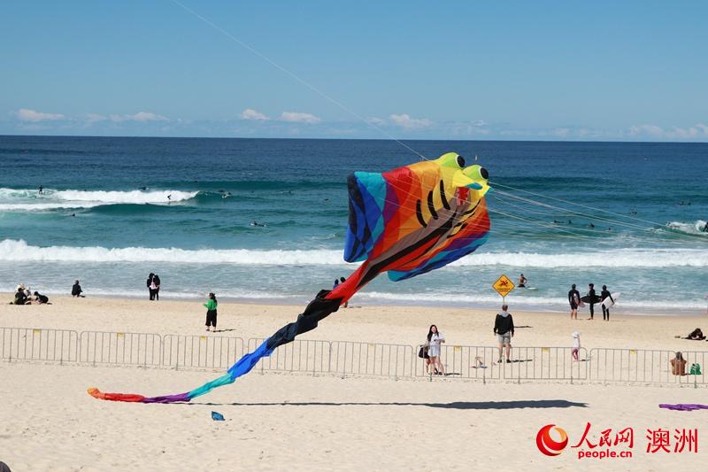 悉尼邦迪海灘舉辦風箏節（攝影 李含悅）