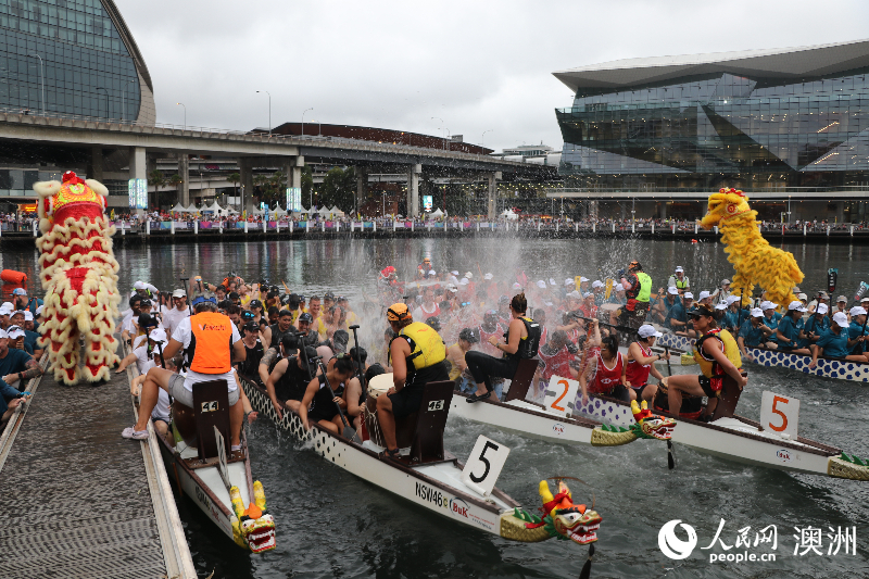 澳大利亚悉尼新春龙舟赛开赛 三千余选手共竞渡