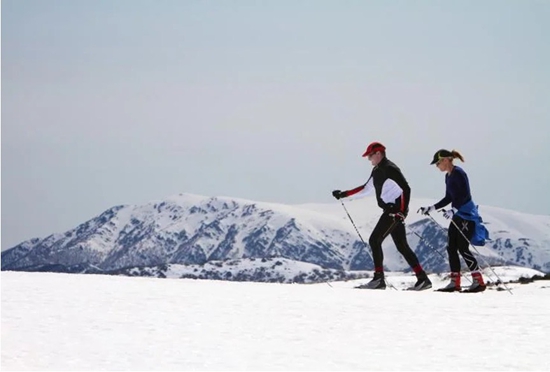 南半球滑雪季到来 来看澳旅游局推荐的五大滑雪度假村