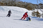 澳旅游局推荐的五大滑雪度假村