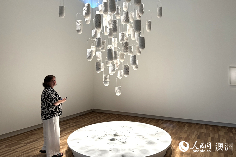 澳大利亚女性艺术家展览“我仍将奋起”在新南威尔士州美术馆展出（摄影 王泉骄）