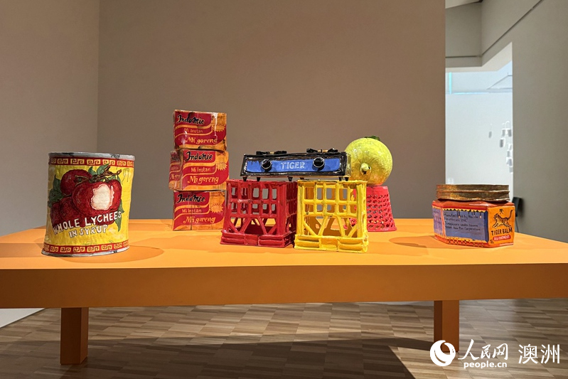 澳大利亚女性艺术家展览“我仍将奋起”展出现场（摄影 王泉骄）