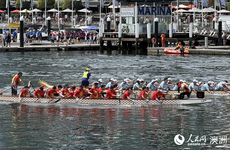 中国驻悉尼总领馆组成的“中国龙”队进行比赛（摄影 沈诗洋）