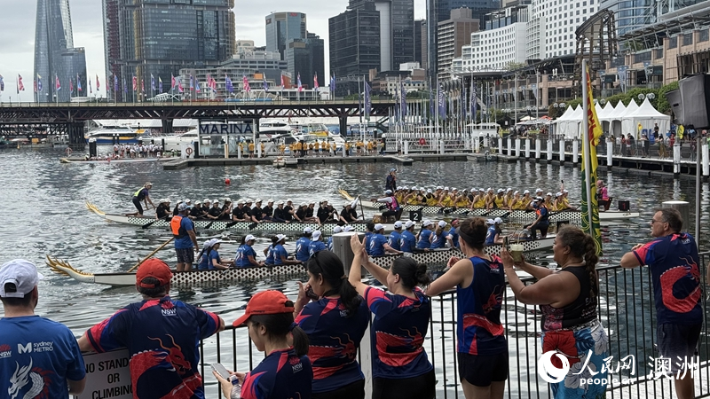 2026悉尼新春龙舟赛在达令港举行（摄影 沈诗洋）