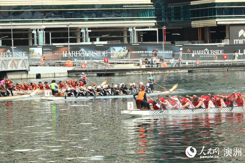 2026悉尼新春龙舟赛在达令港举行（摄影 王泉骄）
